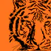 OttonTiger