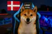 DKGamesDoggy