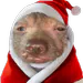 Mogging_Aemond