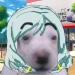 iGazelleH