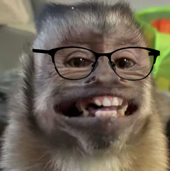 Pottomvz