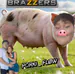 porkyshowoficial