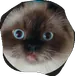 sssammii