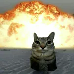 ALIMOV_23_URA avatar