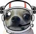 SpaceRunner8090
