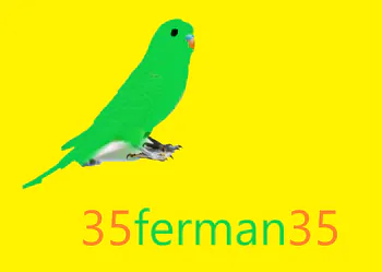 35ferman35