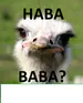 Habababaa