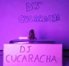 Djcucarachalive