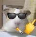 TheRenatito