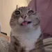 wamika