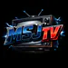 msjtvv Kick Profile Picture