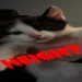 heightsfy