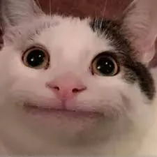 FrankTheHamster