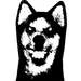 saaikuu