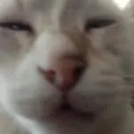 Arzmft