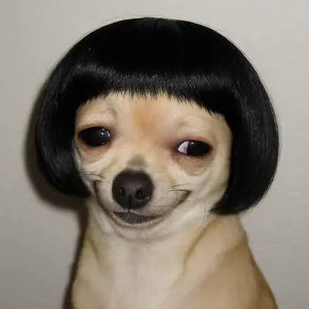 Pepit0ElGatito