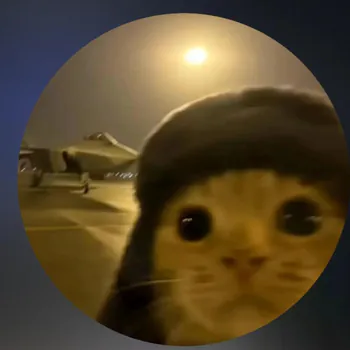 Palacinka_YT