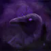ShadyRavenQ