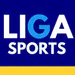 LIGASPORTS