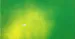 matuteee_00