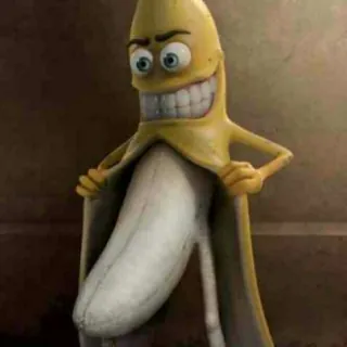 sleekchud
