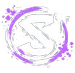 SKYEER