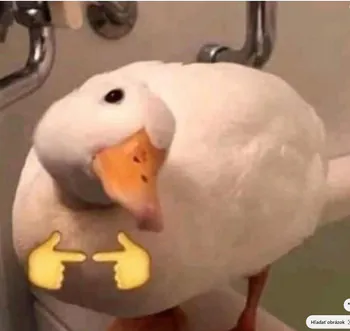 DuckDak