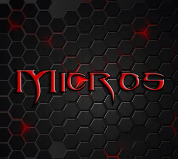 Micros08