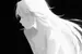 SHRAR_q8