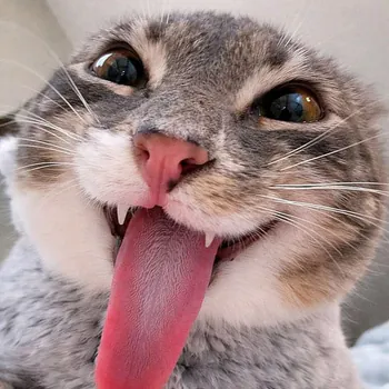 M3eny