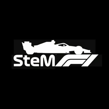SteMF1