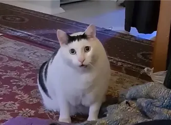 ElPanzerRommel