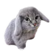 jaythetortaslayer