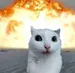 ElGatitoMafiosoBoxeador