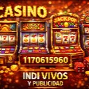indiravivos