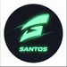 SantosFantastic