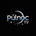 PulnocTV