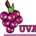 UVA_AOE