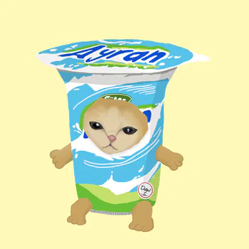 ayran06