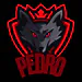 never_pedro