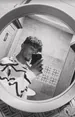 P_ASTISS