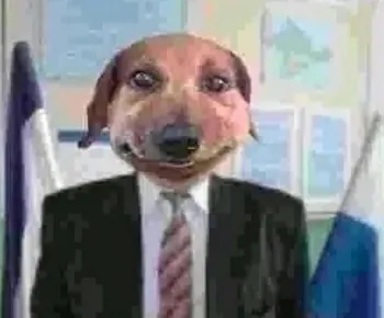 All_KeK