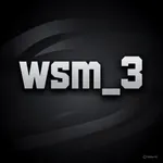 wsm-3