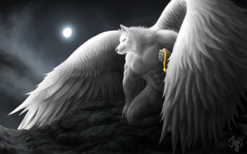 AngelLoboFF