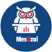 MesAzul
