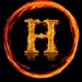 Haozao