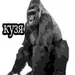 L1KVEL