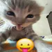 KimmichTR