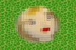 LaPissy profile picture