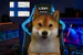 slotsgamesdoggyfinn